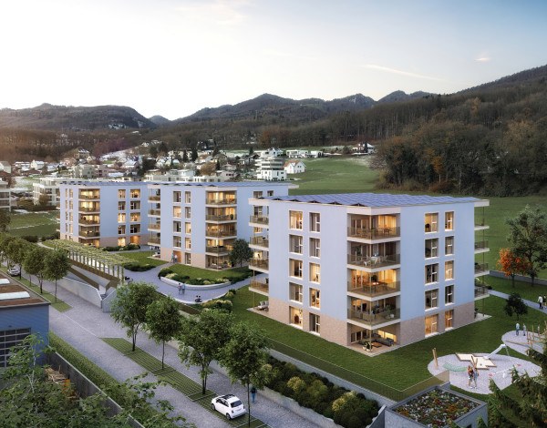 Im Rickenbacherfeld, Wangen bei Olten